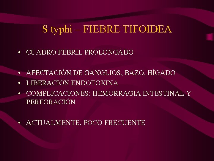 S typhi – FIEBRE TIFOIDEA • CUADRO FEBRIL PROLONGADO • AFECTACIÓN DE GANGLIOS, BAZO,