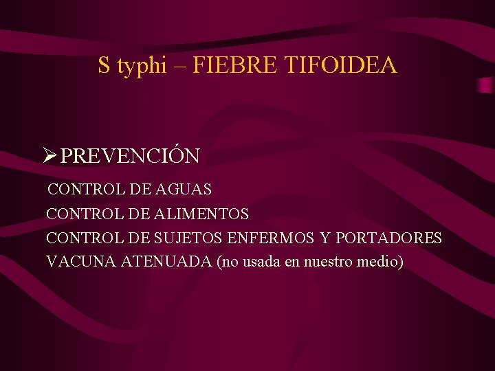 S typhi – FIEBRE TIFOIDEA Ø PREVENCIÓN CONTROL DE AGUAS CONTROL DE ALIMENTOS CONTROL