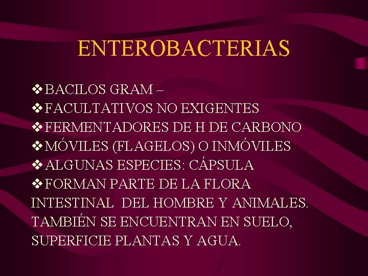 ENTEROBACTERIAS v BACILOS GRAM – v FACULTATIVOS NO EXIGENTES v FERMENTADORES DE H DE