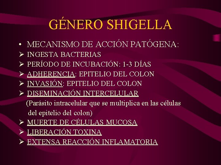 GÉNERO SHIGELLA • MECANISMO DE ACCIÓN PATÓGENA: Ø Ø Ø INGESTA BACTERIAS PERÍODO DE