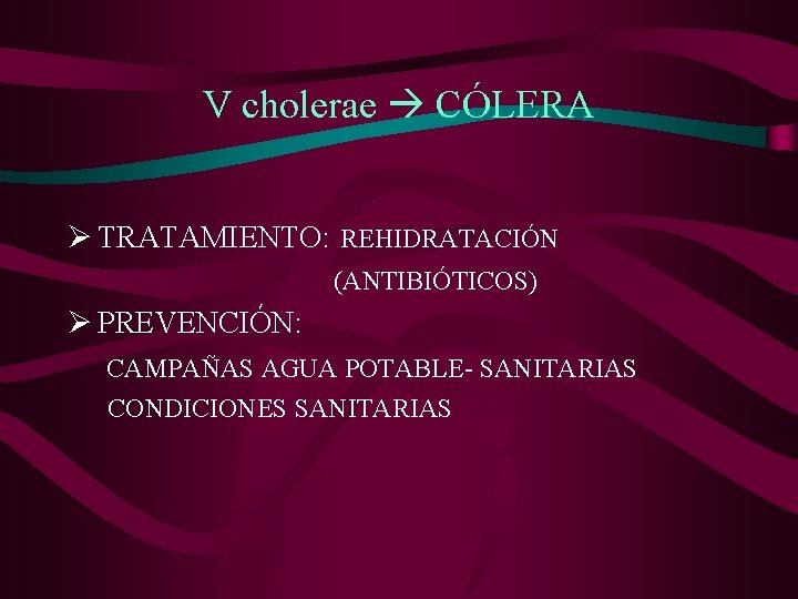 V cholerae CÓLERA Ø TRATAMIENTO: REHIDRATACIÓN (ANTIBIÓTICOS) Ø PREVENCIÓN: CAMPAÑAS AGUA POTABLE- SANITARIAS CONDICIONES