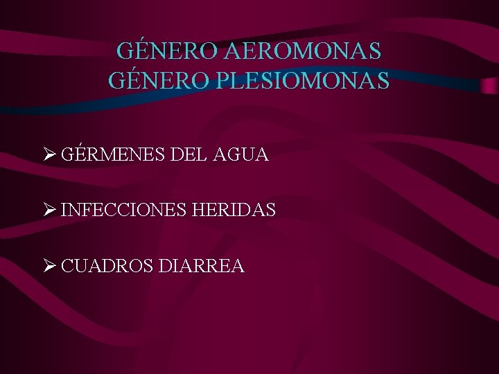 GÉNERO AEROMONAS GÉNERO PLESIOMONAS Ø GÉRMENES DEL AGUA Ø INFECCIONES HERIDAS Ø CUADROS DIARREA