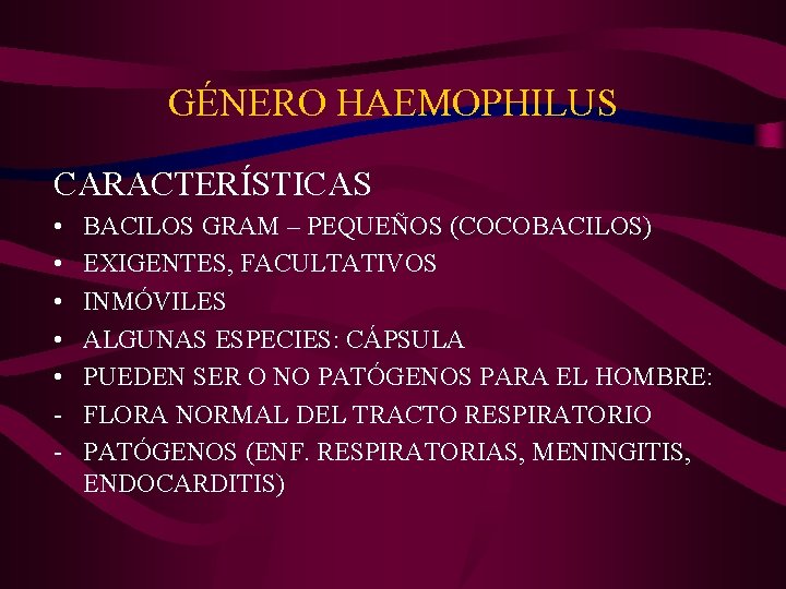 GÉNERO HAEMOPHILUS CARACTERÍSTICAS • • • - BACILOS GRAM – PEQUEÑOS (COCOBACILOS) EXIGENTES, FACULTATIVOS