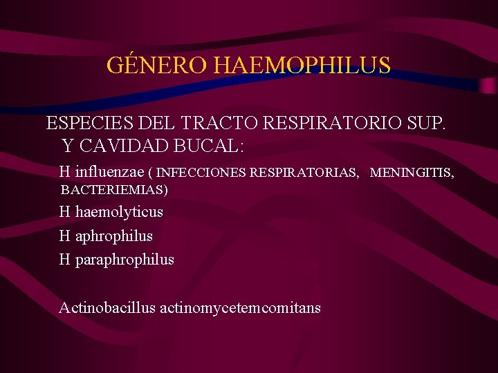 GÉNERO HAEMOPHILUS ESPECIES DEL TRACTO RESPIRATORIO SUP. Y CAVIDAD BUCAL: H influenzae ( INFECCIONES