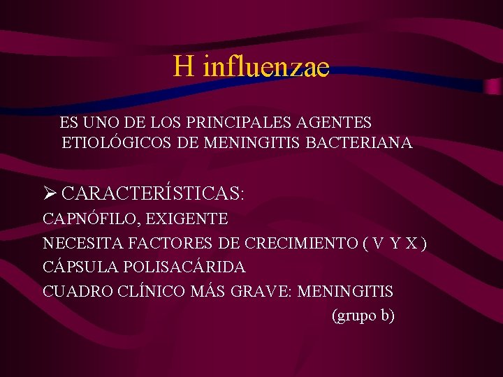 H influenzae ES UNO DE LOS PRINCIPALES AGENTES ETIOLÓGICOS DE MENINGITIS BACTERIANA Ø CARACTERÍSTICAS: