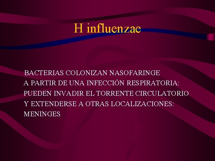 H influenzae BACTERIAS COLONIZAN NASOFARINGE A PARTIR DE UNA INFECCIÓN RESPIRATORIA: PUEDEN INVADIR EL
