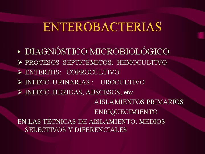 ENTEROBACTERIAS • DIAGNÓSTICO MICROBIOLÓGICO Ø Ø PROCESOS SEPTICÉMICOS: HEMOCULTIVO ENTERITIS: COPROCULTIVO INFECC. URINARIAS :