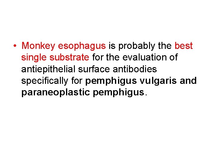  • Monkey esophagus is probably the best single substrate for the evaluation of