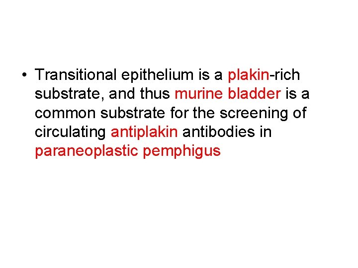  • Transitional epithelium is a plakin-rich substrate, and thus murine bladder is a