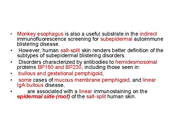  • Monkey esophagus is also a useful substrate in the indirect immunofluorescence screening