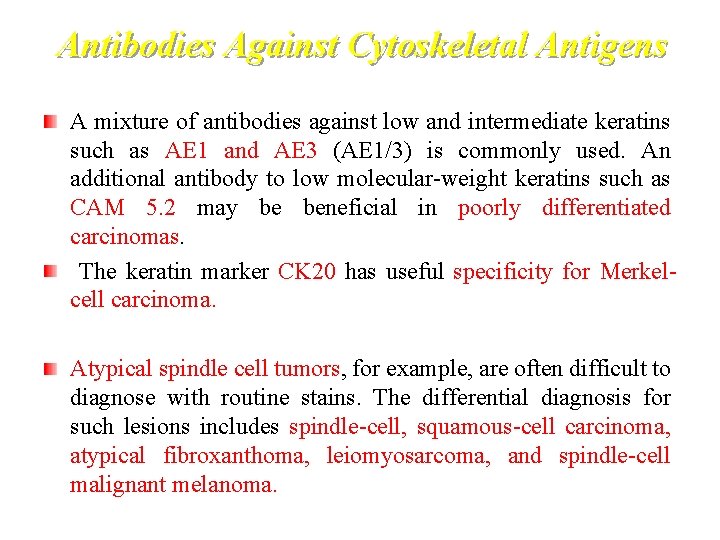 Antibodies Against Cytoskeletal Antigens A mixture of antibodies against low and intermediate keratins such