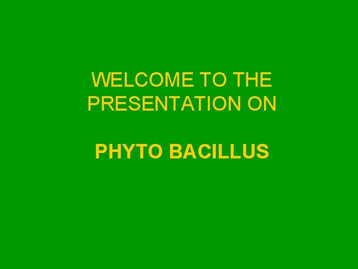 WELCOME TO THE PRESENTATION ON PHYTO BACILLUS 