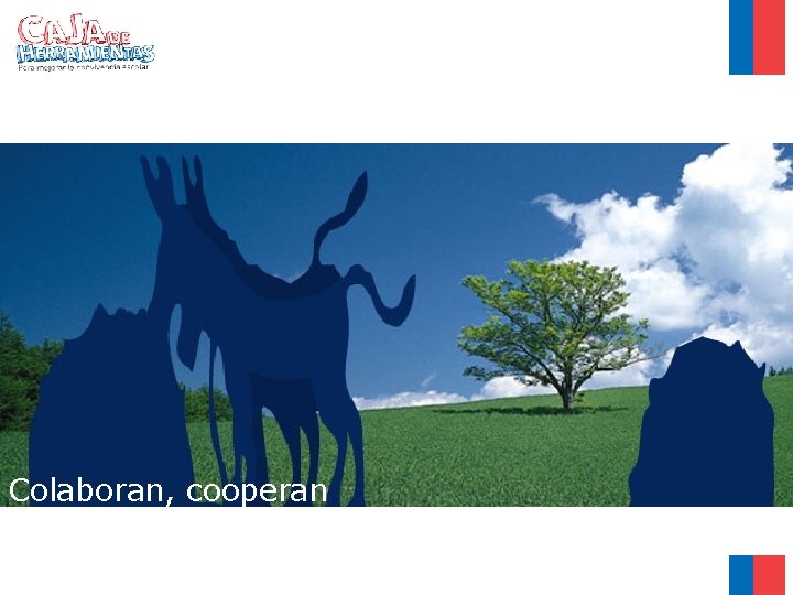 Colaboran, cooperan 