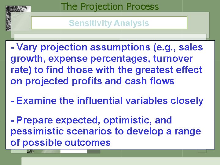 The Projection Process Sensitivity Analysis - Vary projection assumptions (e. g. , sales growth,