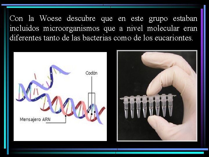 Con la Woese descubre que en este grupo estaban incluidos microorganismos que a nivel