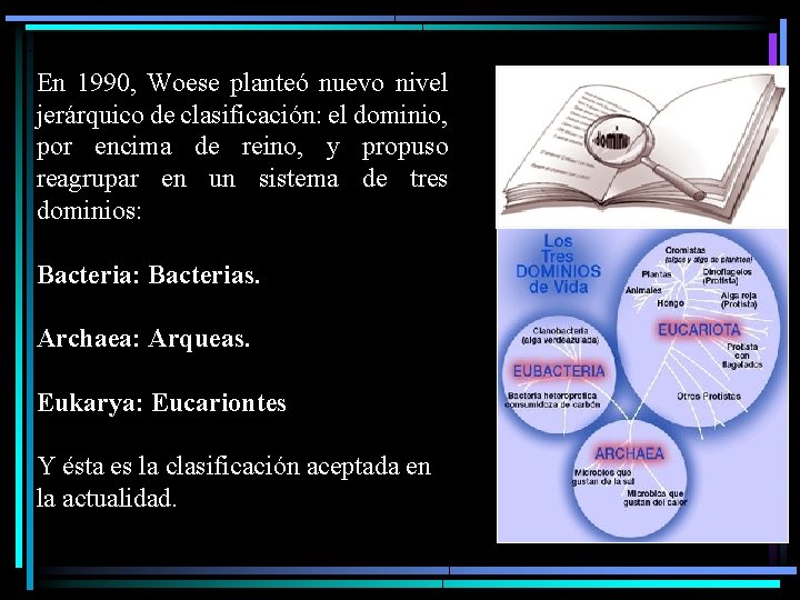 En 1990, Woese planteó nuevo nivel jerárquico de clasificación: el dominio, por encima de