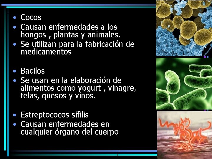  • Cocos • Causan enfermedades a los hongos , plantas y animales. •