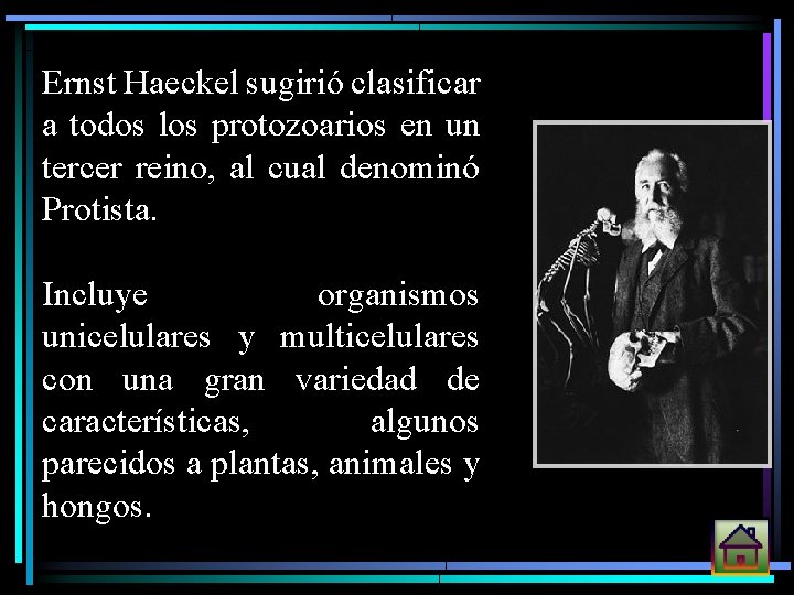 Ernst Haeckel sugirió clasificar a todos los protozoarios en un tercer reino, al cual