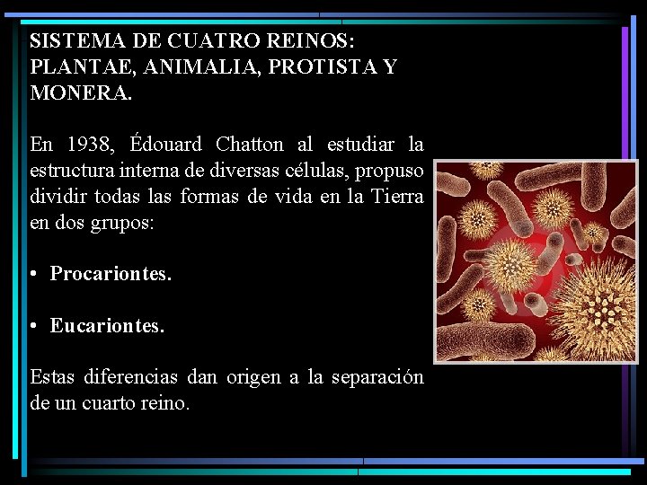 SISTEMA DE CUATRO REINOS: PLANTAE, ANIMALIA, PROTISTA Y MONERA. En 1938, Édouard Chatton al