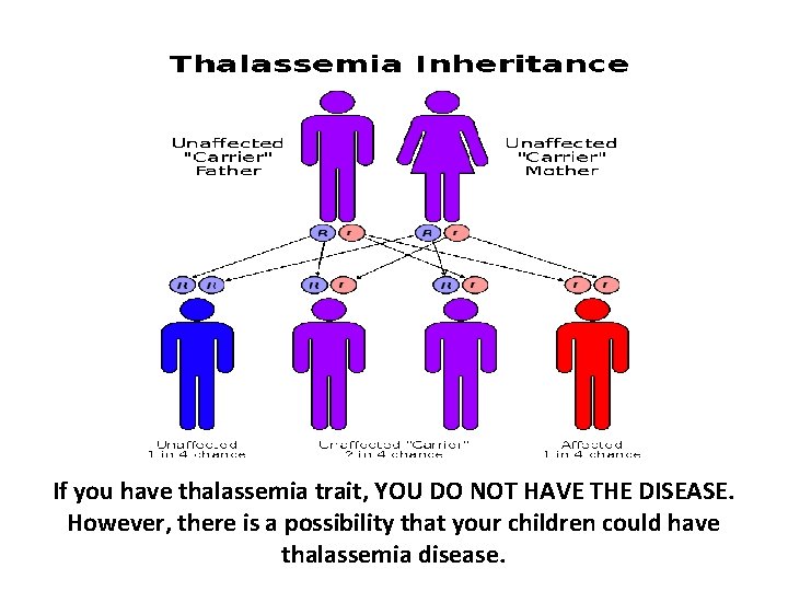If you have thalassemia trait, YOU DO NOT HAVE THE DISEASE. However, there is