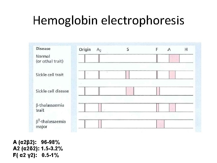 Hemoglobin electrophoresis A (α 2β 2): 96 -98% A 2 (α 2δ 2): 1.