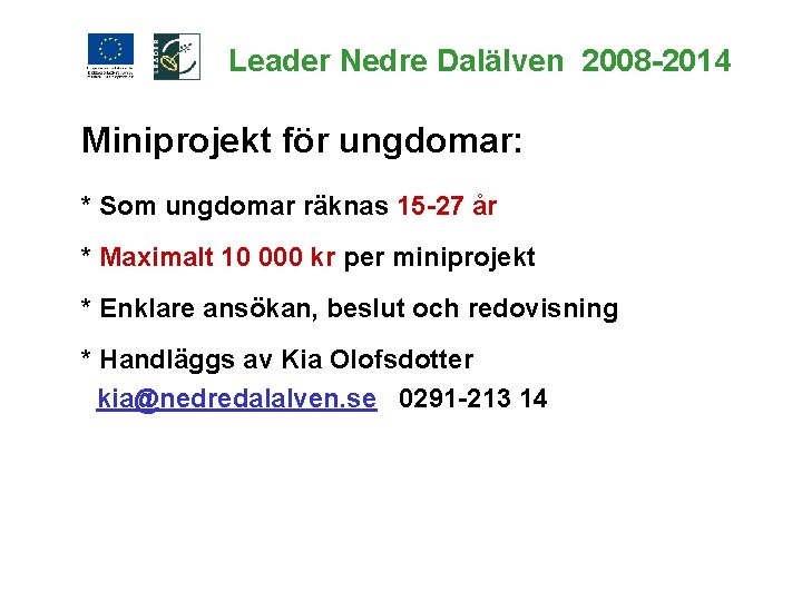 Leader Nedre Dalälven 2008 -2014 Miniprojekt för ungdomar: * Som ungdomar räknas 15 -27