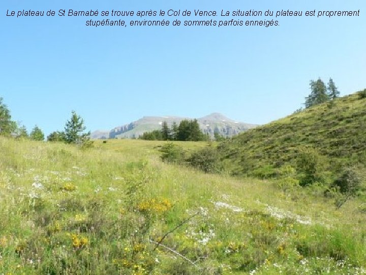 Le plateau de St Barnabé se trouve après le Col de Vence. La situation