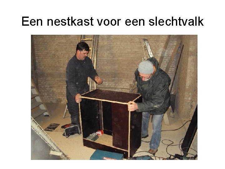 Een nestkast voor een slechtvalk 