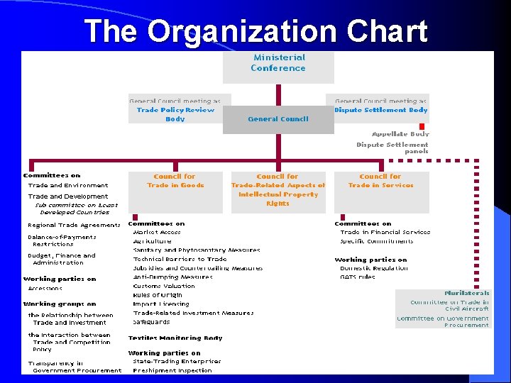 The Organization Chart 