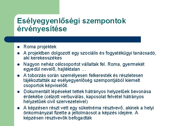 Esélyegyenlőségi szempontok érvényesítése l l l Roma projektek A projektben dolgozott egy szociális és