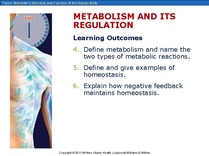 Taylor: Memmler’s Structure and Function of the Human Body METABOLISM AND ITS REGULATION Learning