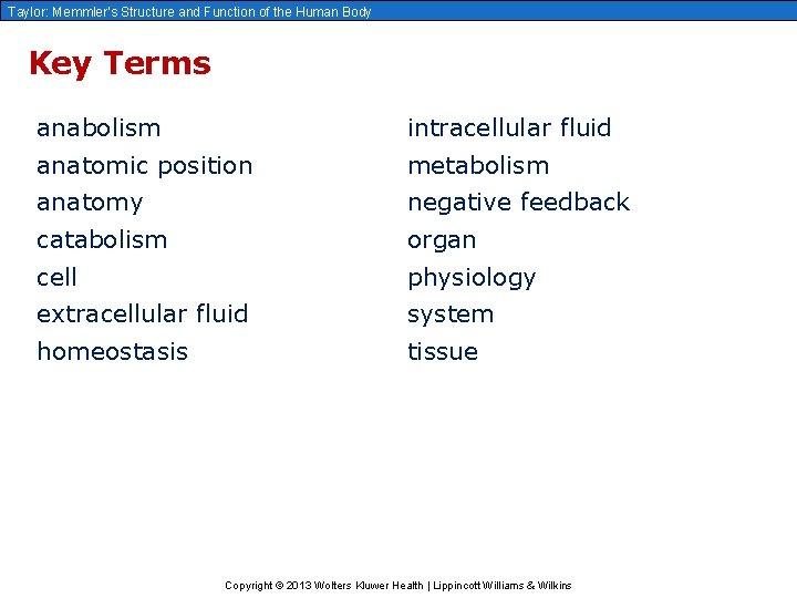 Taylor: Memmler’s Structure and Function of the Human Body Key Terms anabolism intracellular fluid