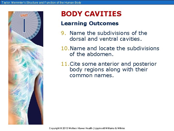 Taylor: Memmler’s Structure and Function of the Human Body BODY CAVITIES Learning Outcomes 9.