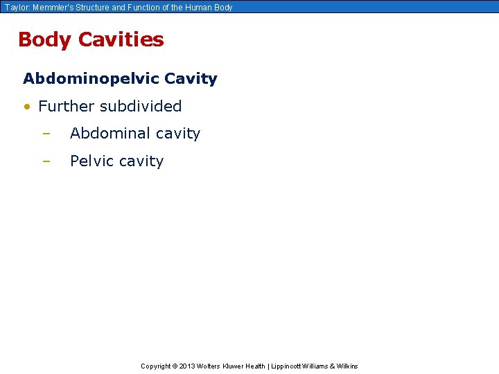 Taylor: Memmler’s Structure and Function of the Human Body Cavities Abdominopelvic Cavity • Further