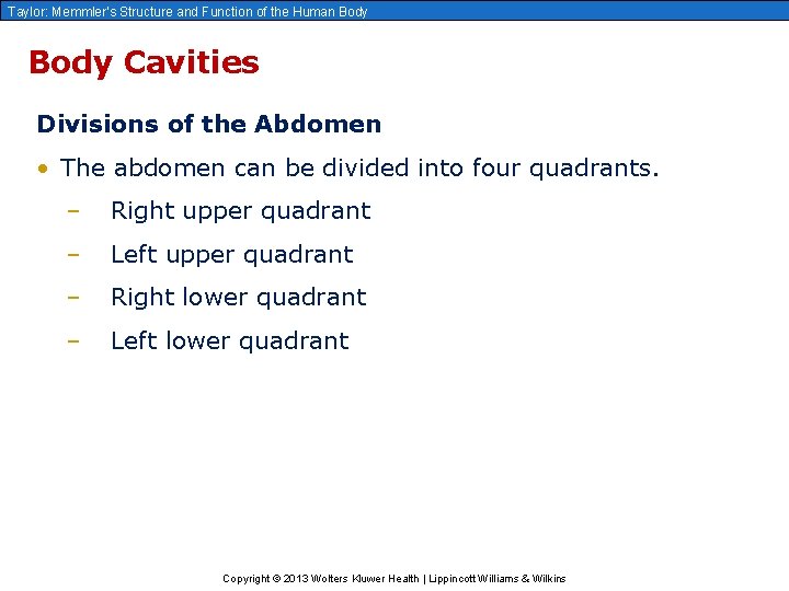 Taylor: Memmler’s Structure and Function of the Human Body Cavities Divisions of the Abdomen