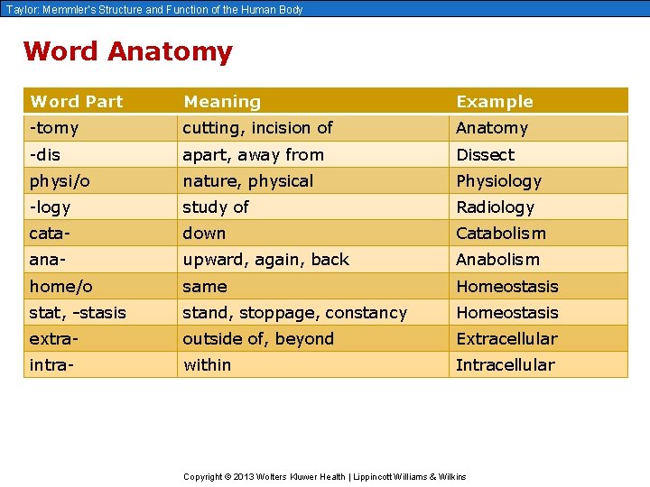 Taylor: Memmler’s Structure and Function of the Human Body Word Anatomy Word Part Meaning