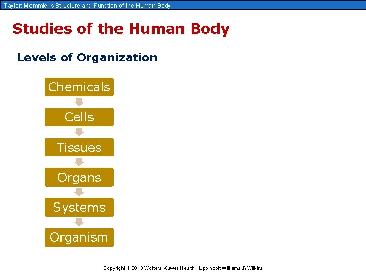 Taylor: Memmler’s Structure and Function of the Human Body Studies of the Human Body