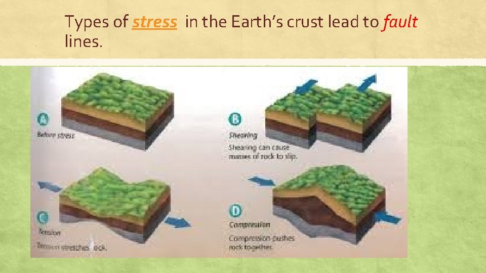 Types of stress in the Earth’s crust lead to fault lines. 