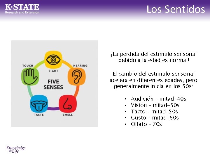 Los Sentidos ¡La perdida del estimulo sensorial debido a la edad es normal! El