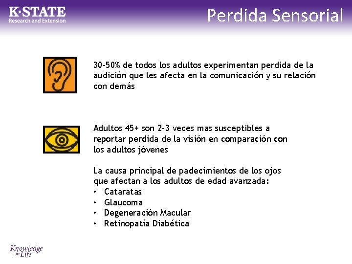 Perdida Sensorial 30 -50% de todos los adultos experimentan perdida de la audición que