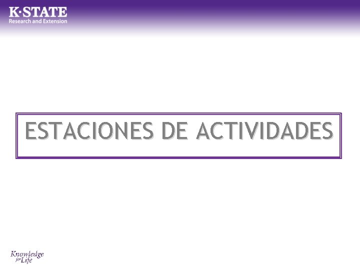 ESTACIONES DE ACTIVIDADES 