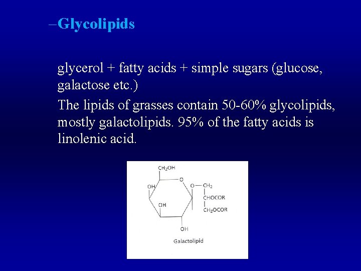 – Glycolipids glycerol + fatty acids + simple sugars (glucose, galactose etc. ) The