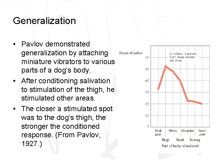 Generalization • Pavlov demonstrated generalization by attaching miniature vibrators to various parts of a