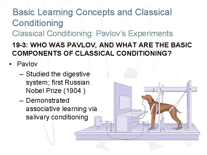 Basic Learning Concepts and Classical Conditioning: Pavlov’s Experiments 19 -3: WHO WAS PAVLOV, AND