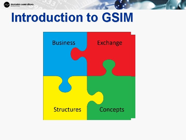 11 Introduction to GSIM 