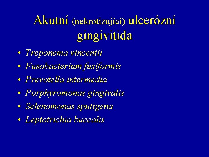 Akutní (nekrotizující) ulcerózní gingivitida • • • Treponema vincentii Fusobacterium fusiformis Prevotella intermedia Porphyromonas