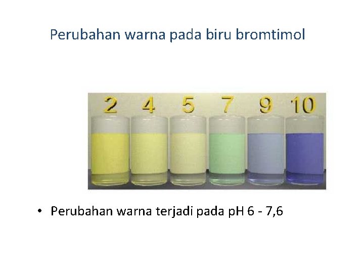 Perubahan warna pada biru bromtimol • Perubahan warna terjadi pada p. H 6 7,