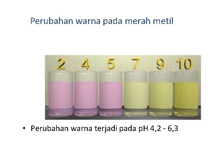 Perubahan warna pada merah metil • Perubahan warna terjadi pada p. H 4, 2