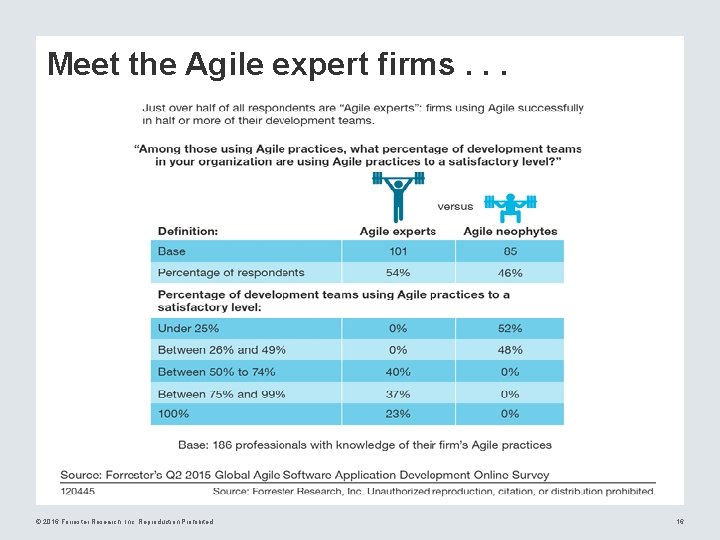 Meet the Agile expert firms. . . © 2016 Forrester Research, Inc. Reproduction Prohibited