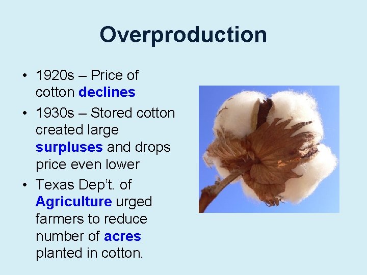 Overproduction • 1920 s – Price of cotton declines • 1930 s – Stored